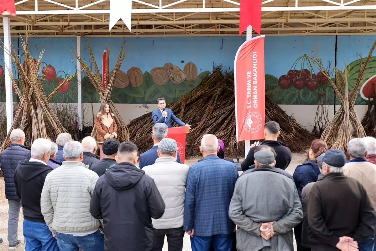 Bilecik\'te Fidan Dağıtımı