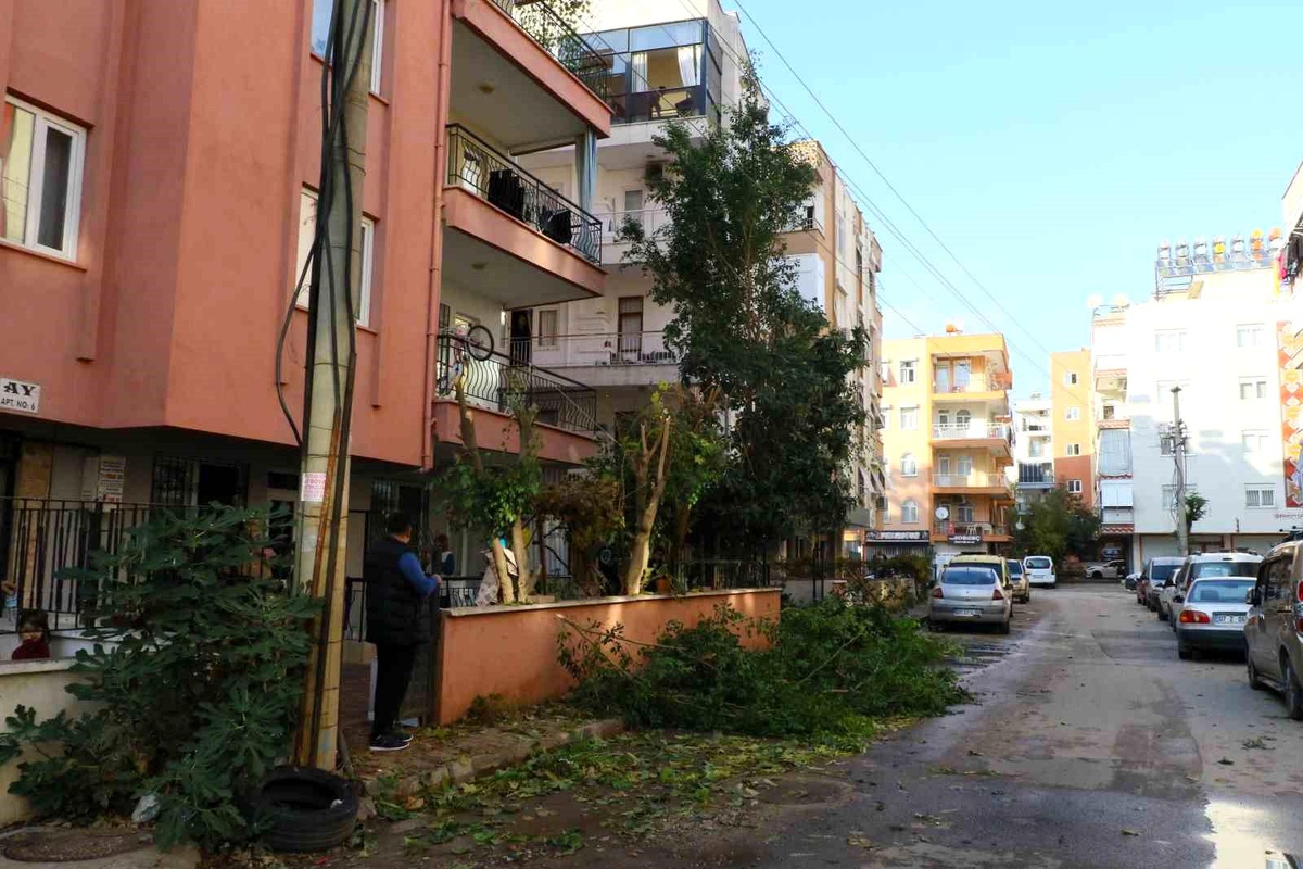 Ağaç Kesimi Mahalleye Felaket Getirdi