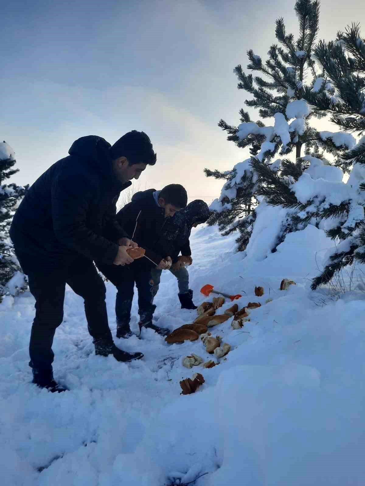 Bayburt\'ta öğrenciler hayvanlar için doğaya yiyecek bıraktı