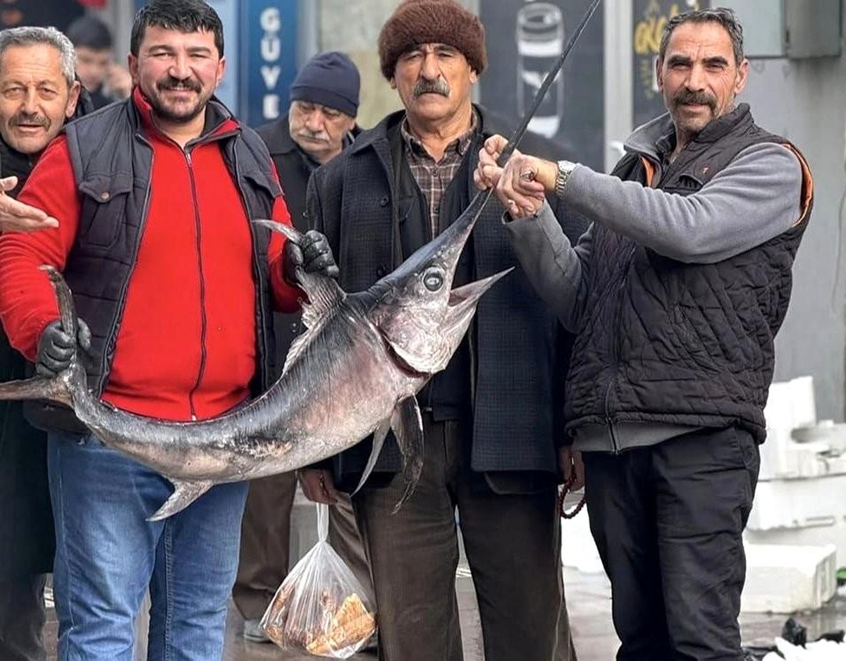 Erzincan\'da Kılıçbalığı Heyecanı