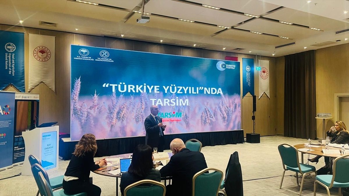 TARSİM, İstanbul\'da Çalıştaya Katıldı