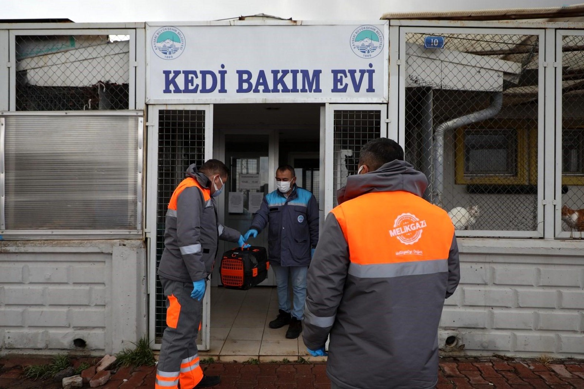 Melikgazi Belediyesi, Sevimli Dost Ambulansı ile 3942 Sokak Hayvanına Yardım Etti