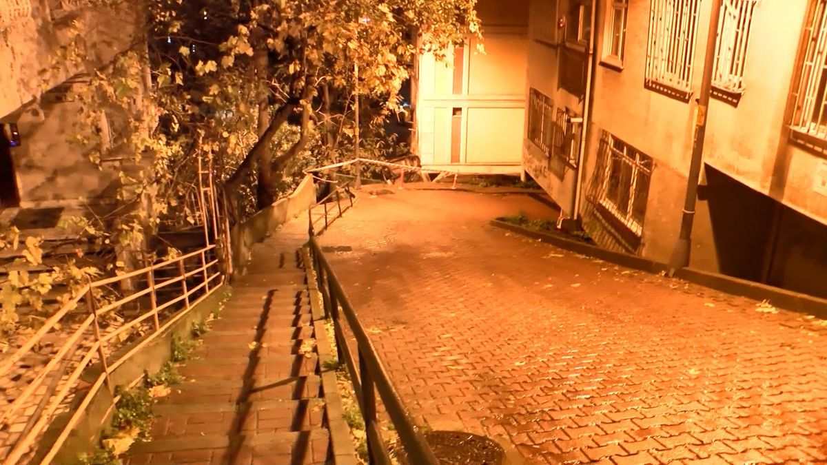 Freni Boşalan Araç Park Halinden Aşağı Düştü