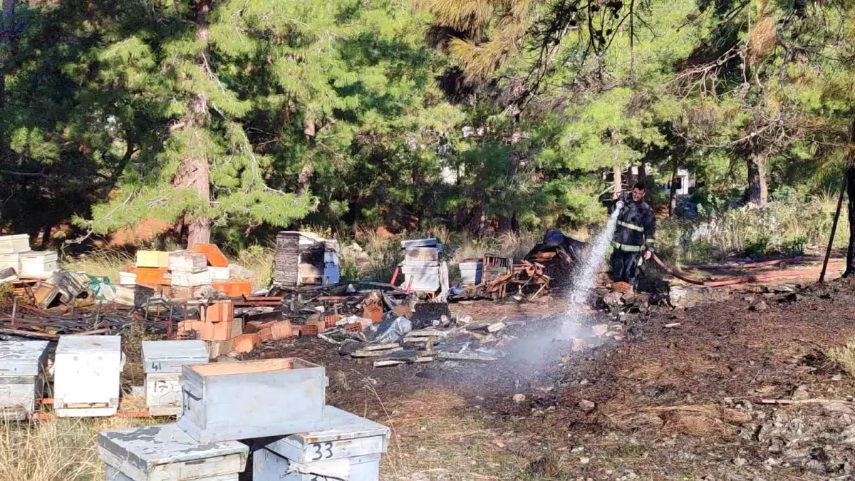 Alanya\'da Mezarlık Yangını: Arı Kovanları Zarar Gördü