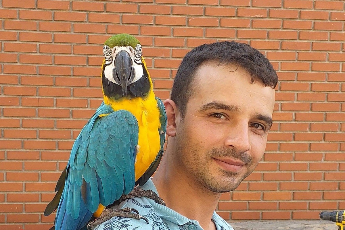 Antalya\'da Mobilya Atölyesinde Çalışan Adam Ölü Bulundu