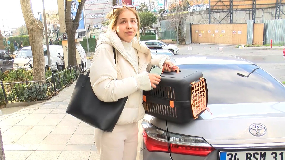 Şişli\'de Yangın: Bina Sakinleri Hayvanlarını Kurtardı
