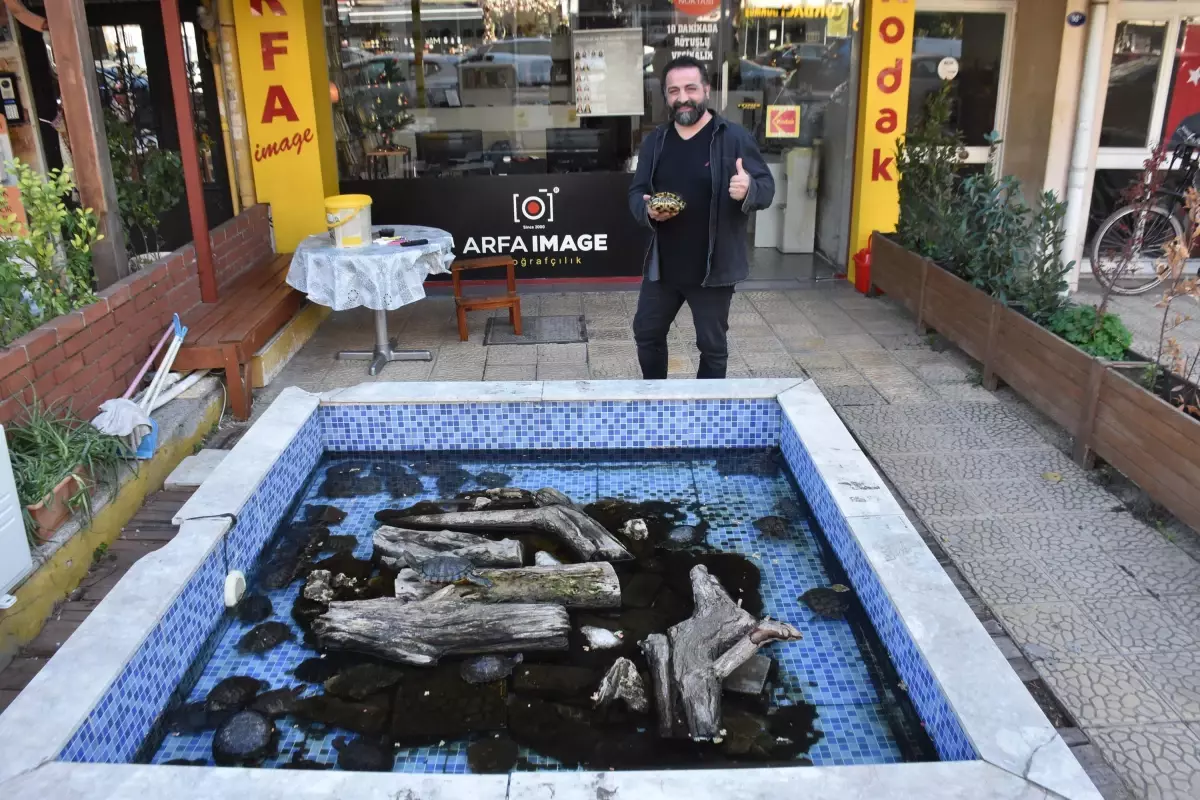 İzmir\'de Kaplumbağalı Fotoğrafçı Fenomeni