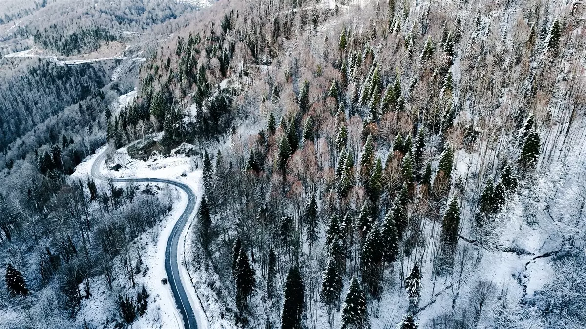 Çam Dağı\'nda Kar Manzarası