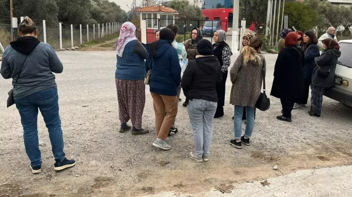 Ürünleri Avrupa\'dan dönen işletme iflas etti, alacaklılar soluğu fabrikada aldı