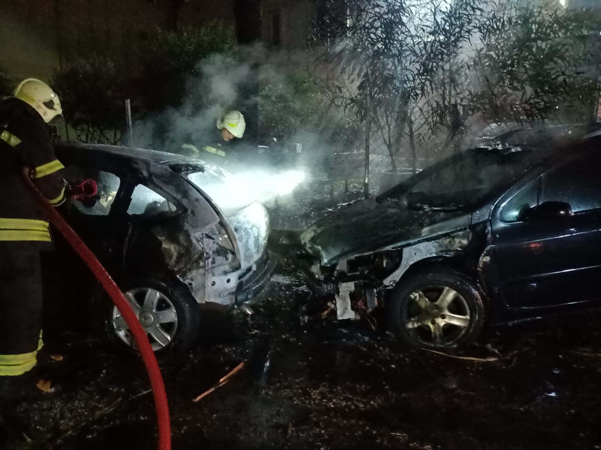 Bodrum\'da Yıldırım Düşen Ağaç Yangın Çıkardı, İki Otomobil Kül Oldu