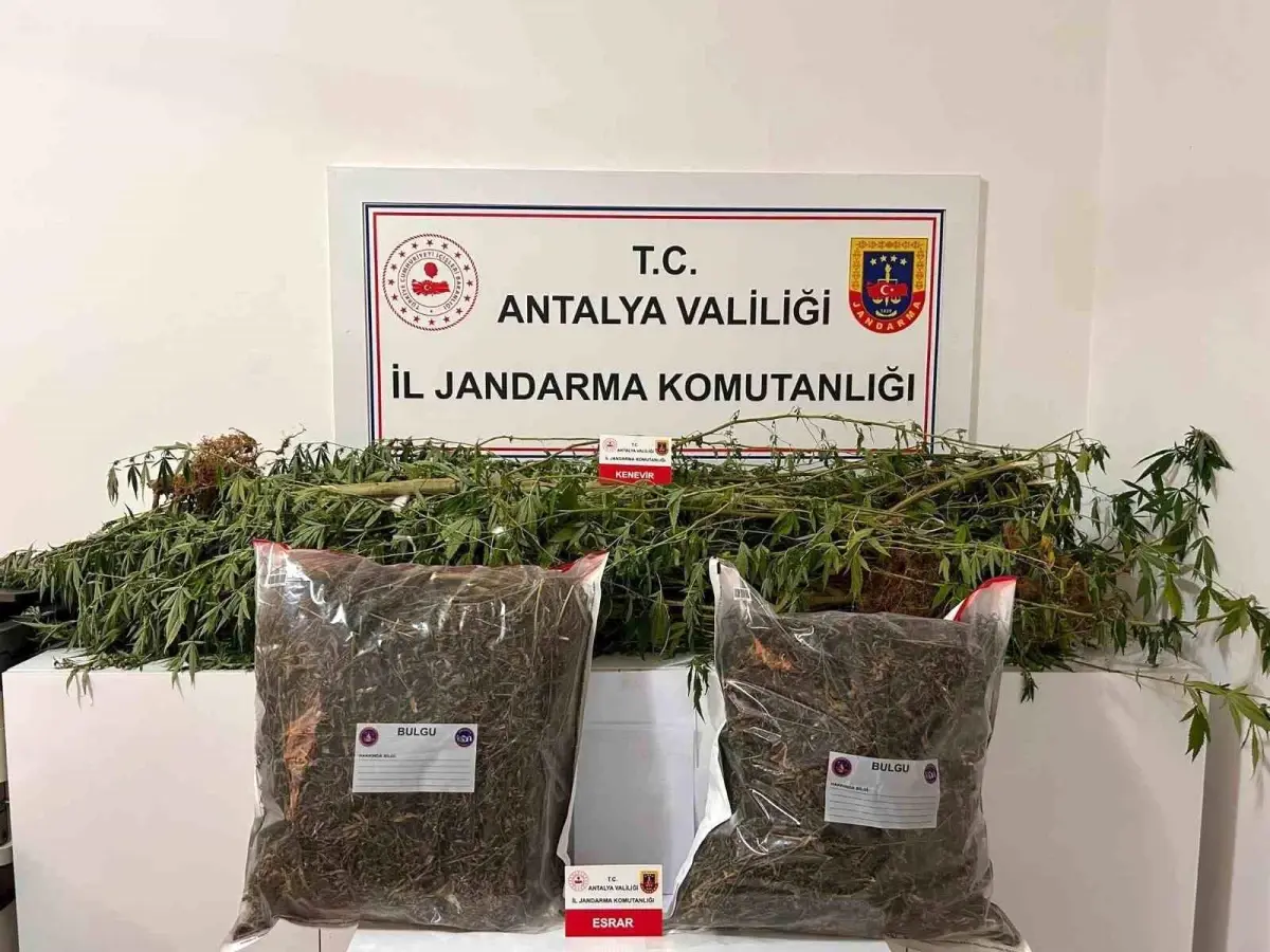 Alanya\'da Narkotik Operasyonu: 188 Kişi Yakalandı