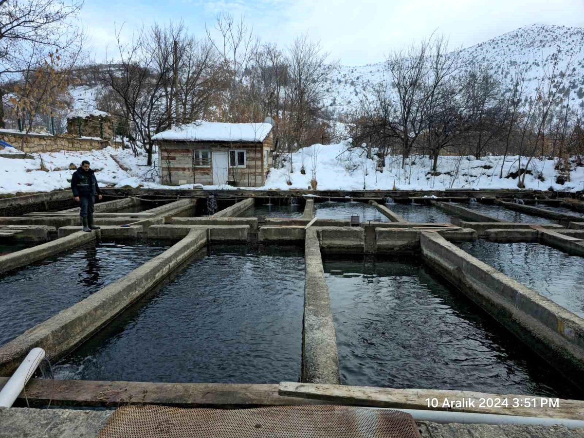 Erzincan\'da Su Ürünleri Yetiştiriciliği