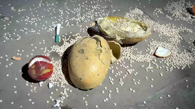 Esad Ailesinin Uyuşturucu Fabrikası Ortaya Çıktı