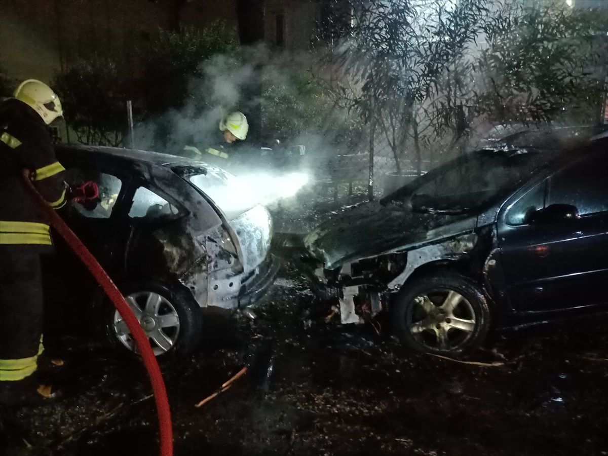 Bodrum\'da Yıldırım Düşen Ağacın Altındaki Araçlar Yandı