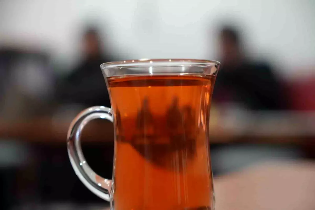 Samsun\'da Ihlamur Fiyatları Artıyor