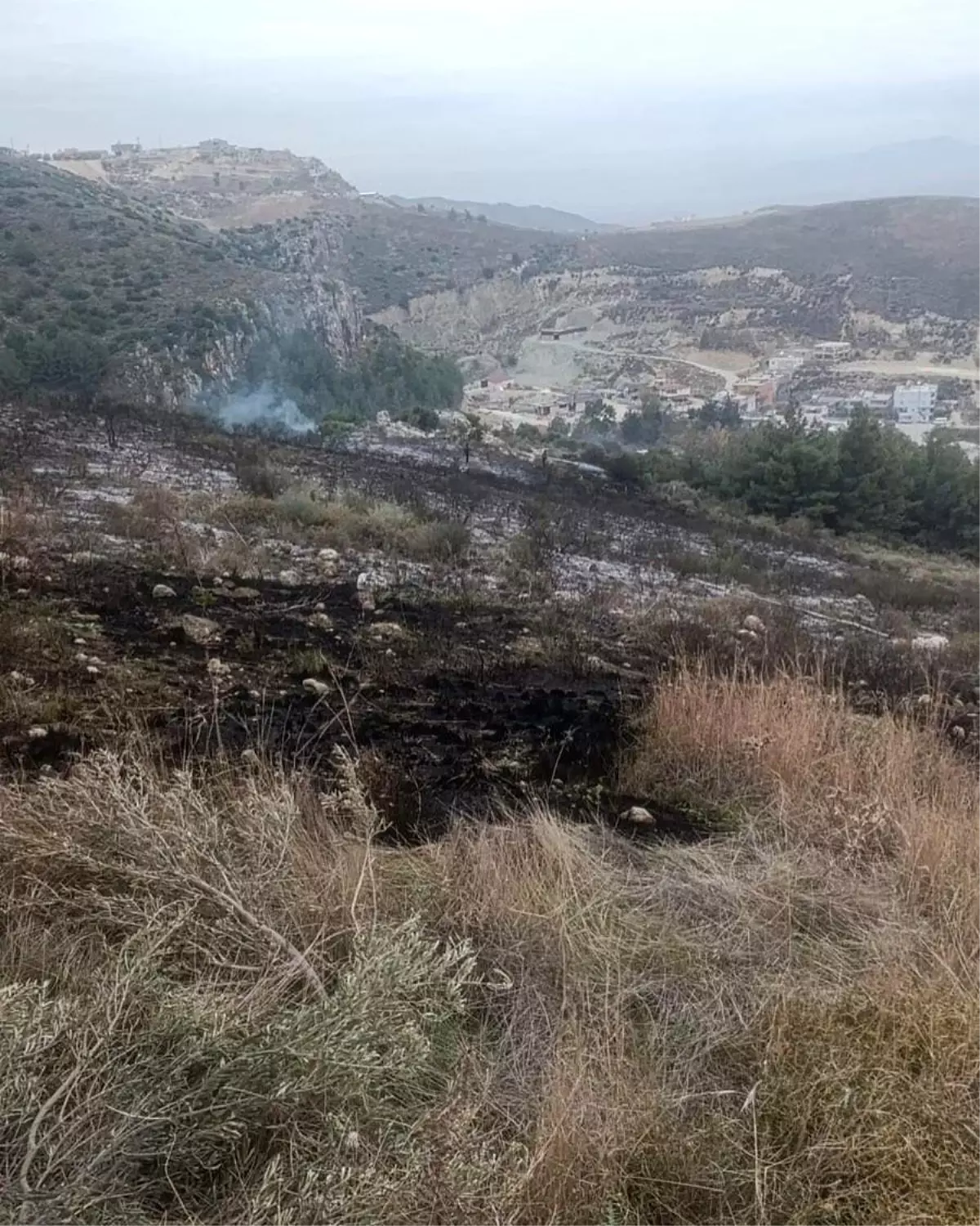 Hatay\'da Makilik Alanda Yangın