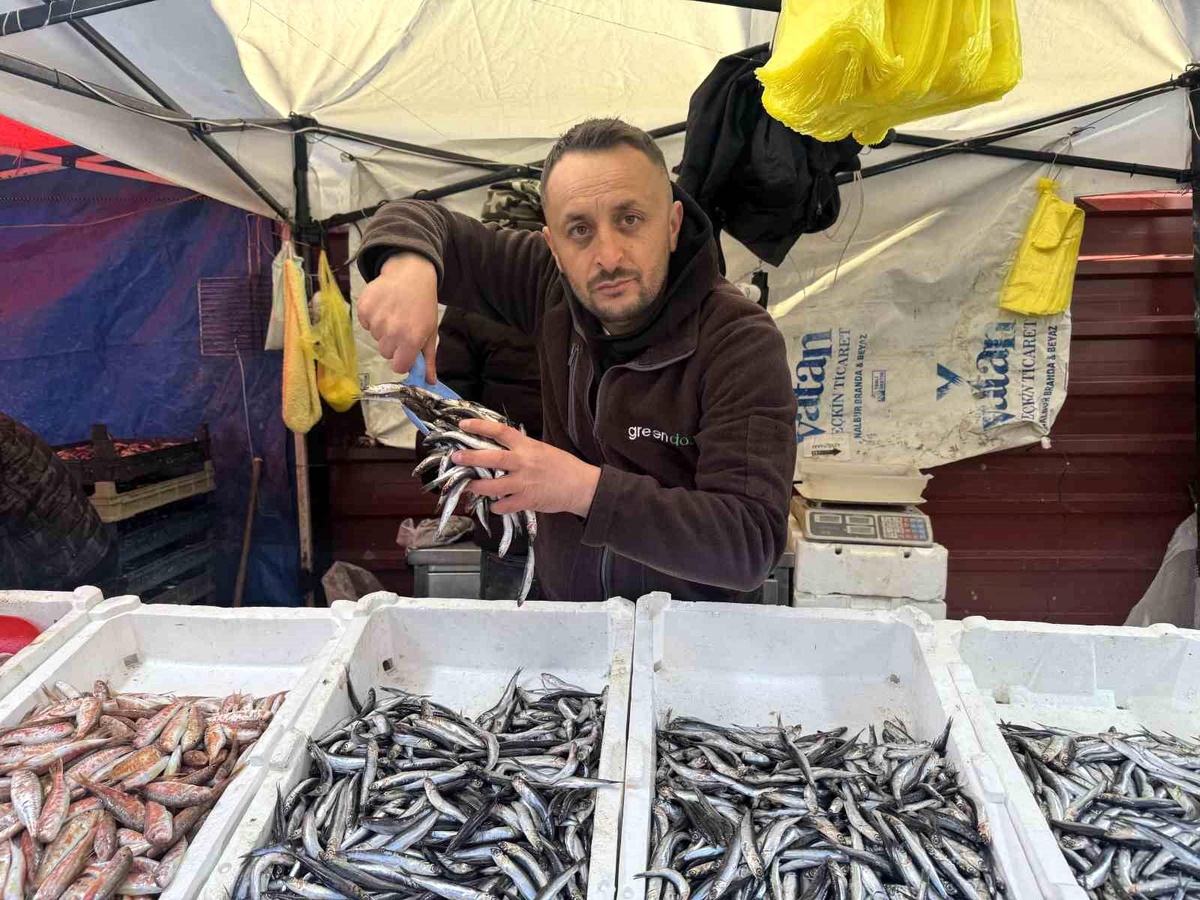 Zonguldak\'ta Balık Fiyatları Yükseldi