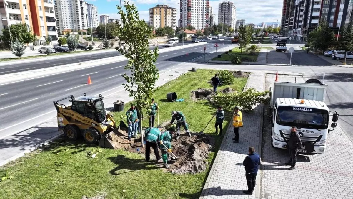 Kocasinan\'da Ağaçlandırma Seferberliği Devam Ediyor