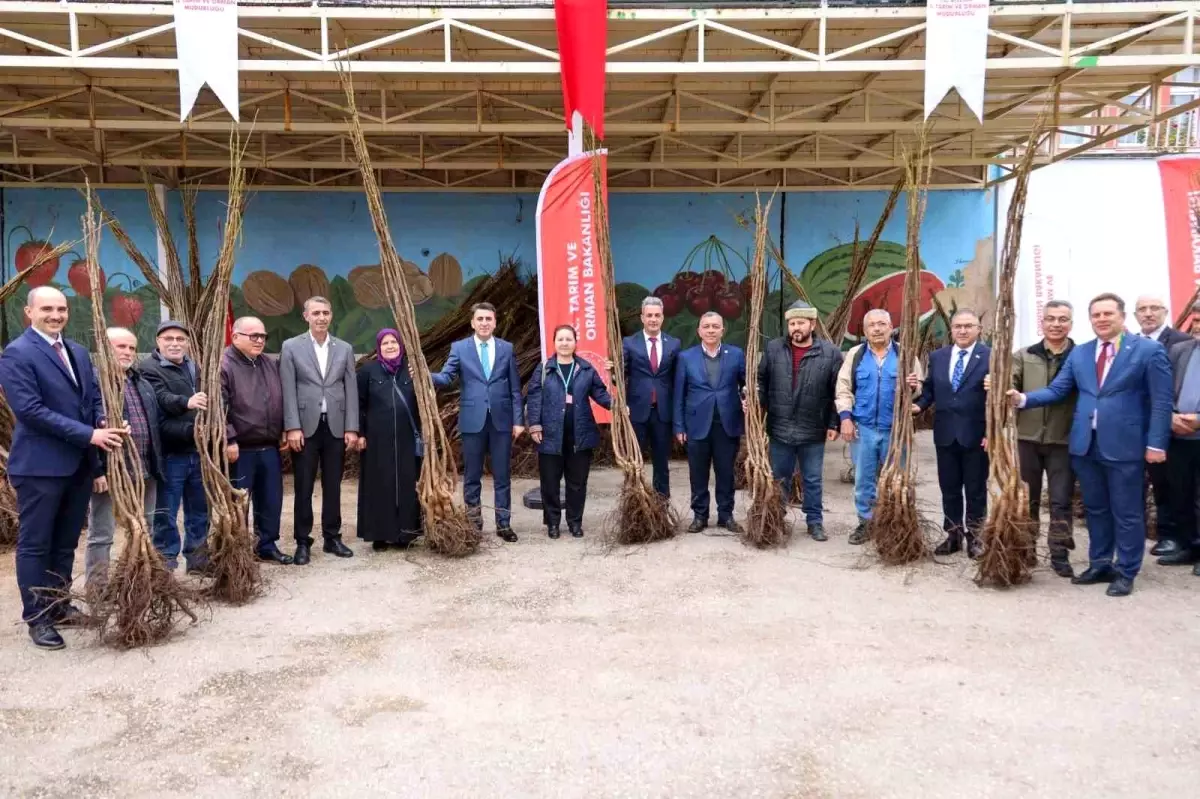 Bilecik\'te 405 Çiftçiye 35 Bin Fidan Dağıtıldı