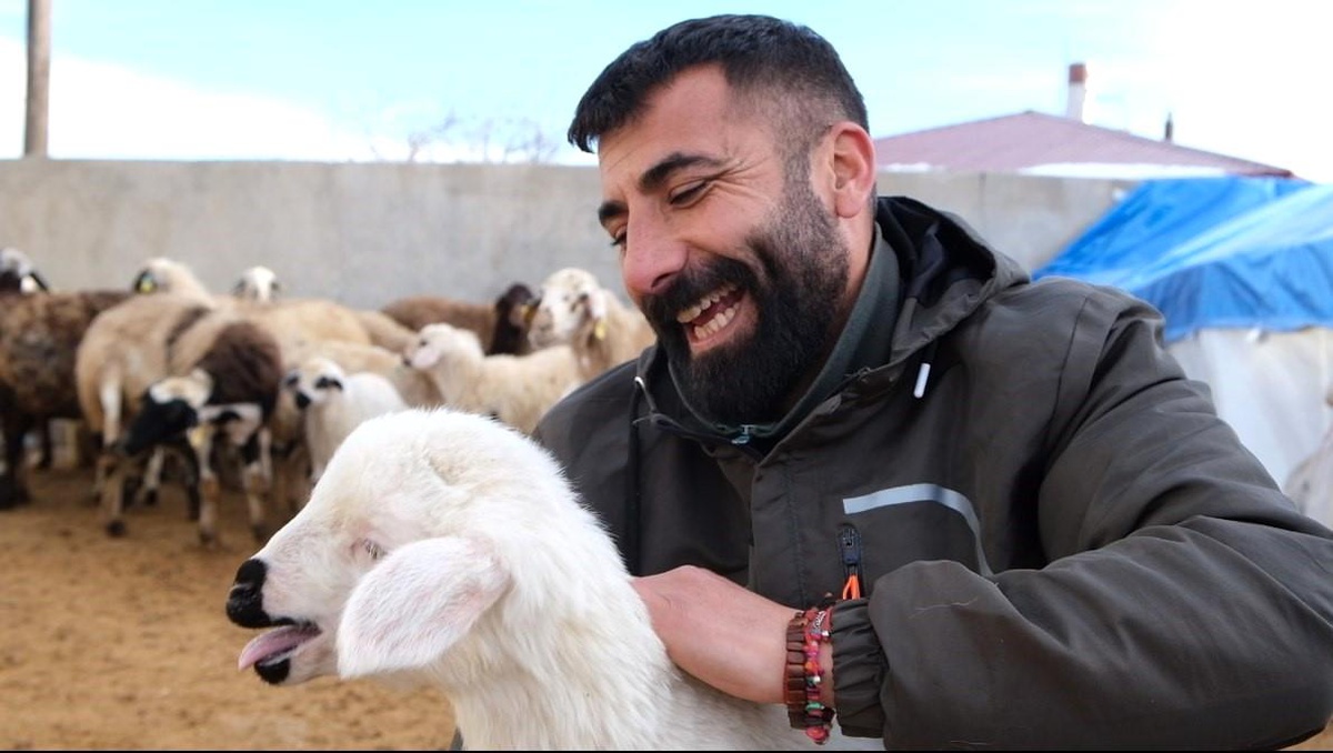 Erzincan\'da Kuzu Doğumları Üreticileri Sevindiriyor