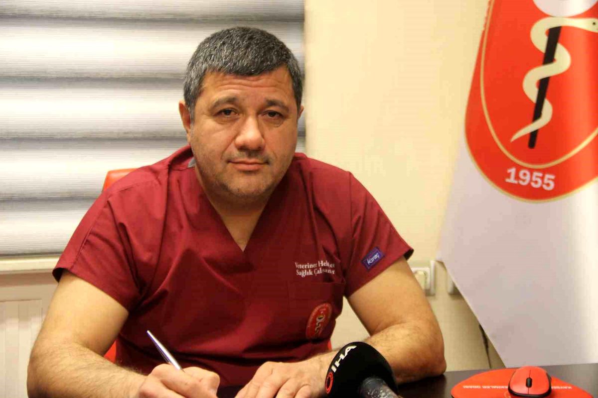 Kış Aylarında Haşere Mücadelesi Önemli