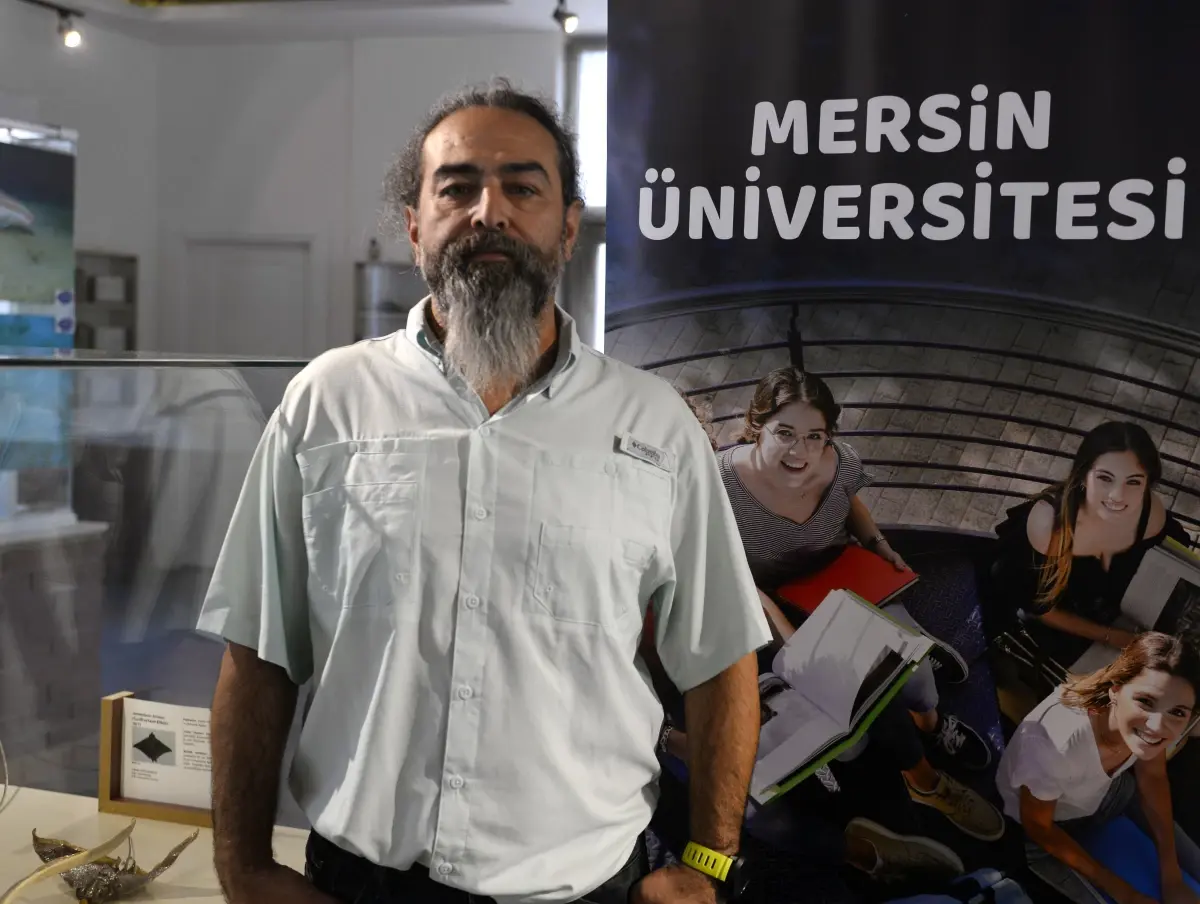 Mersin Körfezi\'nde Nesli Tükenme Tehlikesi Altındaki Kum Köpek Balıkları Görüntülendi