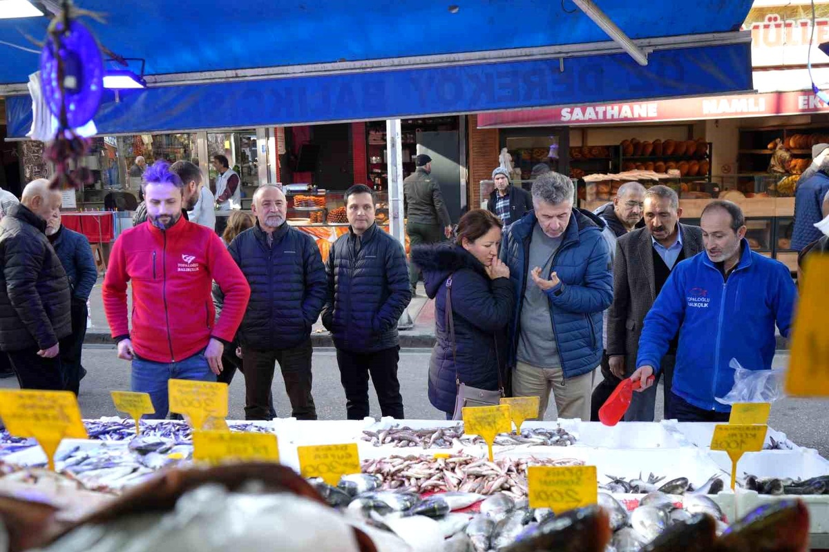 Hamsi, Palamudu Geride Bıraktı