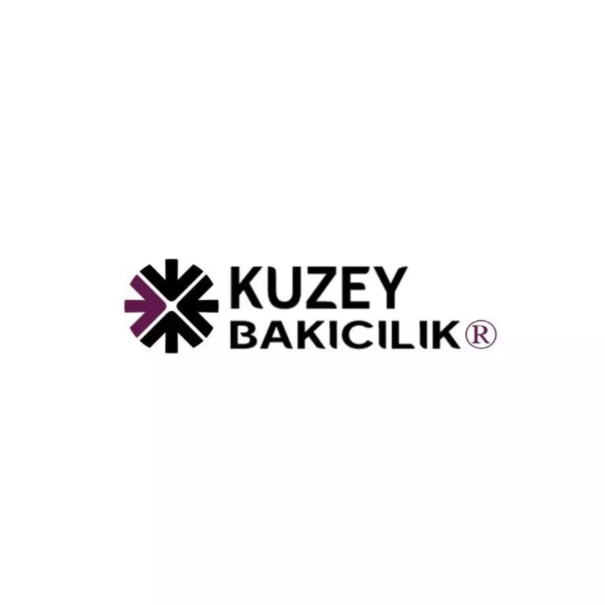 Kuzey Bakıcılık: Aileniz İçin Profesyonel Bakım Hizmetleri