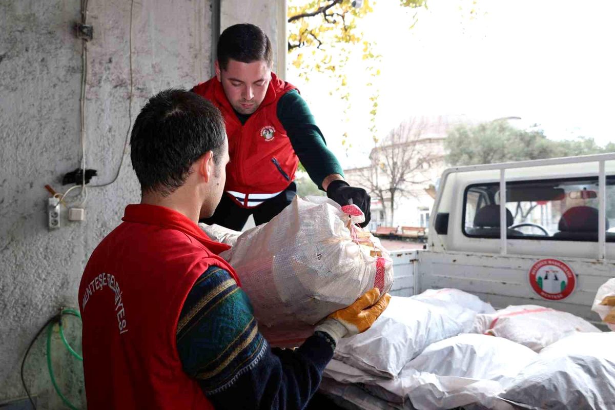 Menteşe Belediyesi\'nden İhtiyaç Sahiplerine Yakacak Yardımı