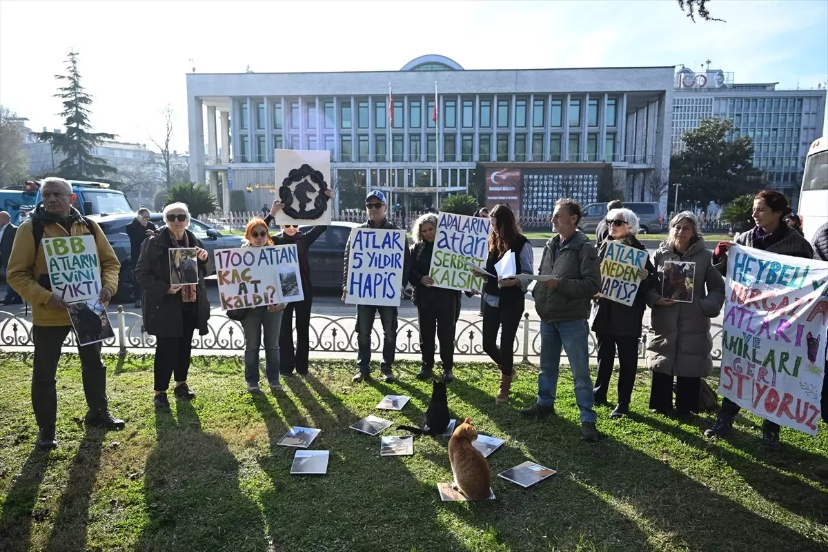 Büyükada Atları İçin İBB\'ye Tepki