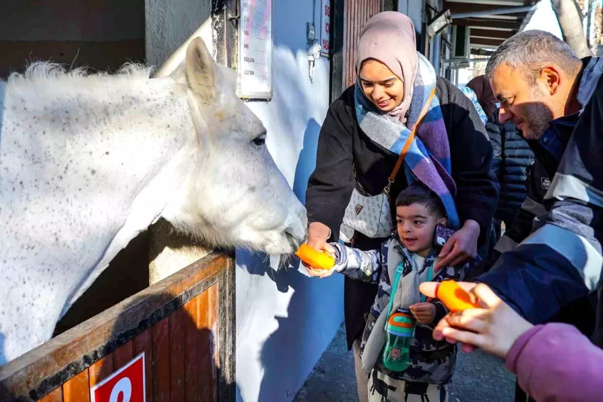 Beyoğlu\'nda Otizm ve Down Sendromlu Çocuklar İçin Atlı Terapi Etkinliği