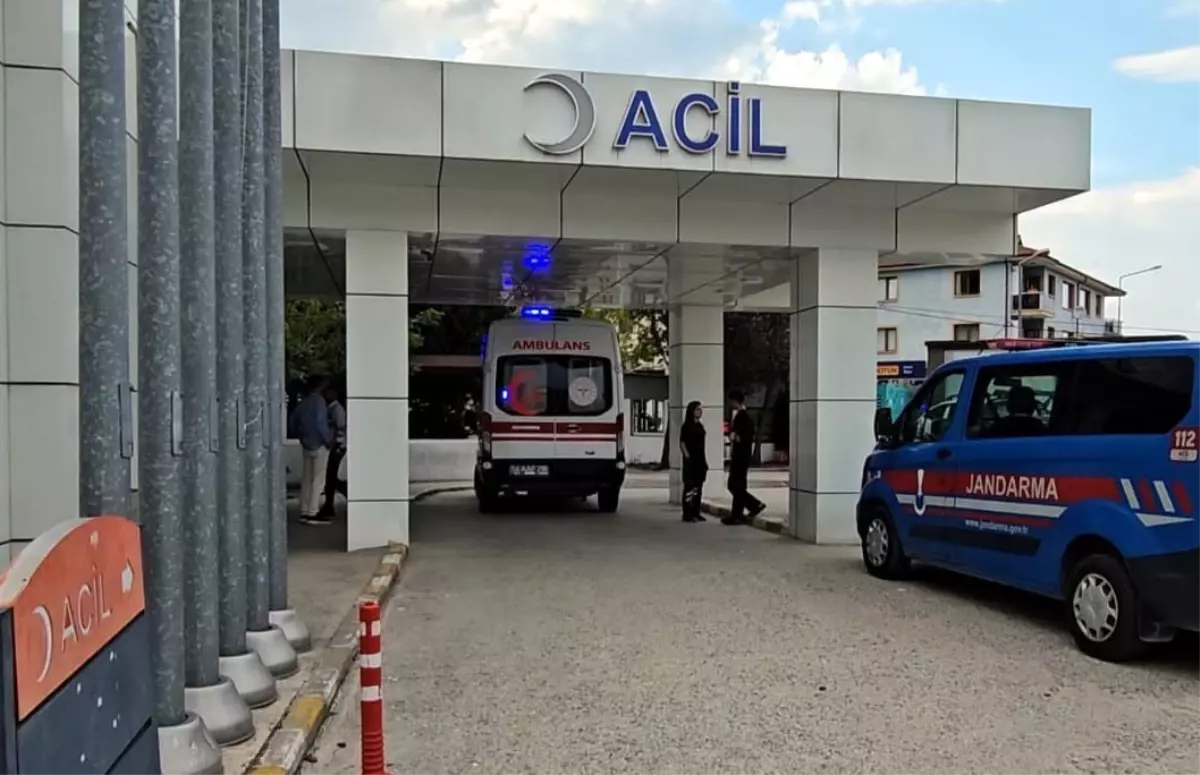 Sapanca\'da Çöp Kamyonu Çarpan Kadın Hayatını Kaybetti