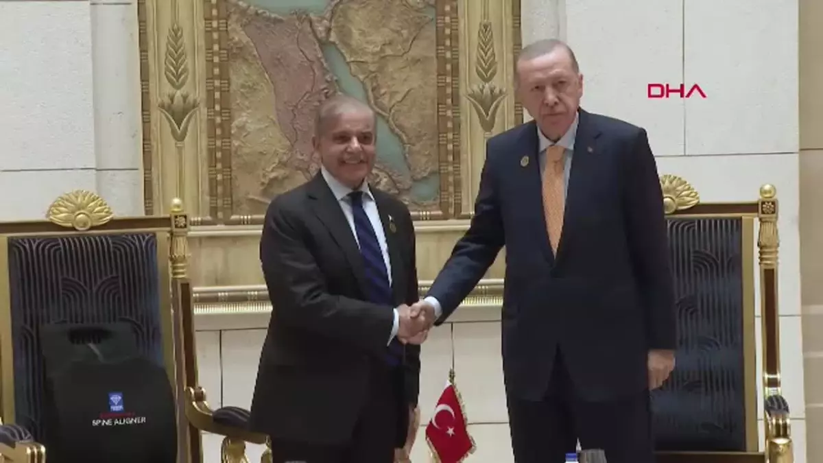 Cumhurbaşkanı Erdoğan, D-8 Zirvesi\'ne katılmak üzere geldiği Mısır\'ın başkenti Kahire\'de Pakistan Başbakanı Şahbaz Şerif\'i kabul etti