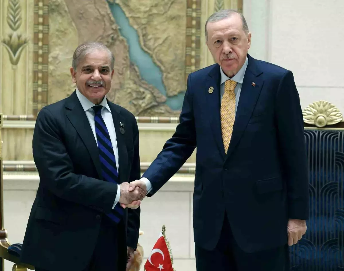 Cumhurbaşkanı Erdoğan, Pakistan Başbakanı Şerif ile görüştü