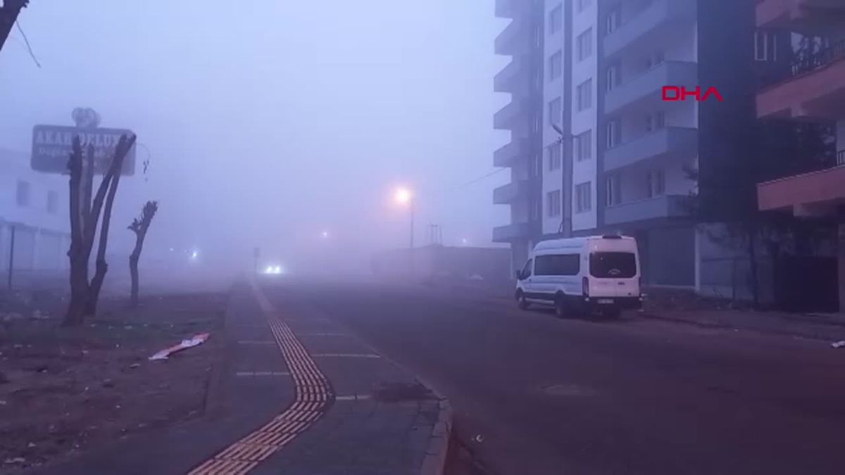 Diyarbakır\'da Sis ve Soğuk Hava Uçak Seferlerini Durdurdu