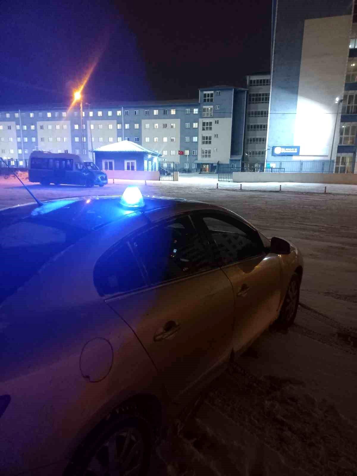 Kars\'ta Güvenlik Denetimi