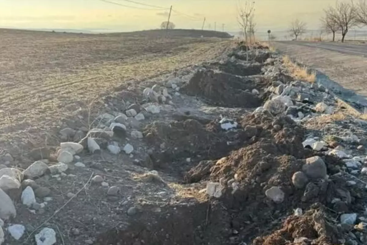 Tunceli\'de belediyenin diktiği dut fidanları çalındı