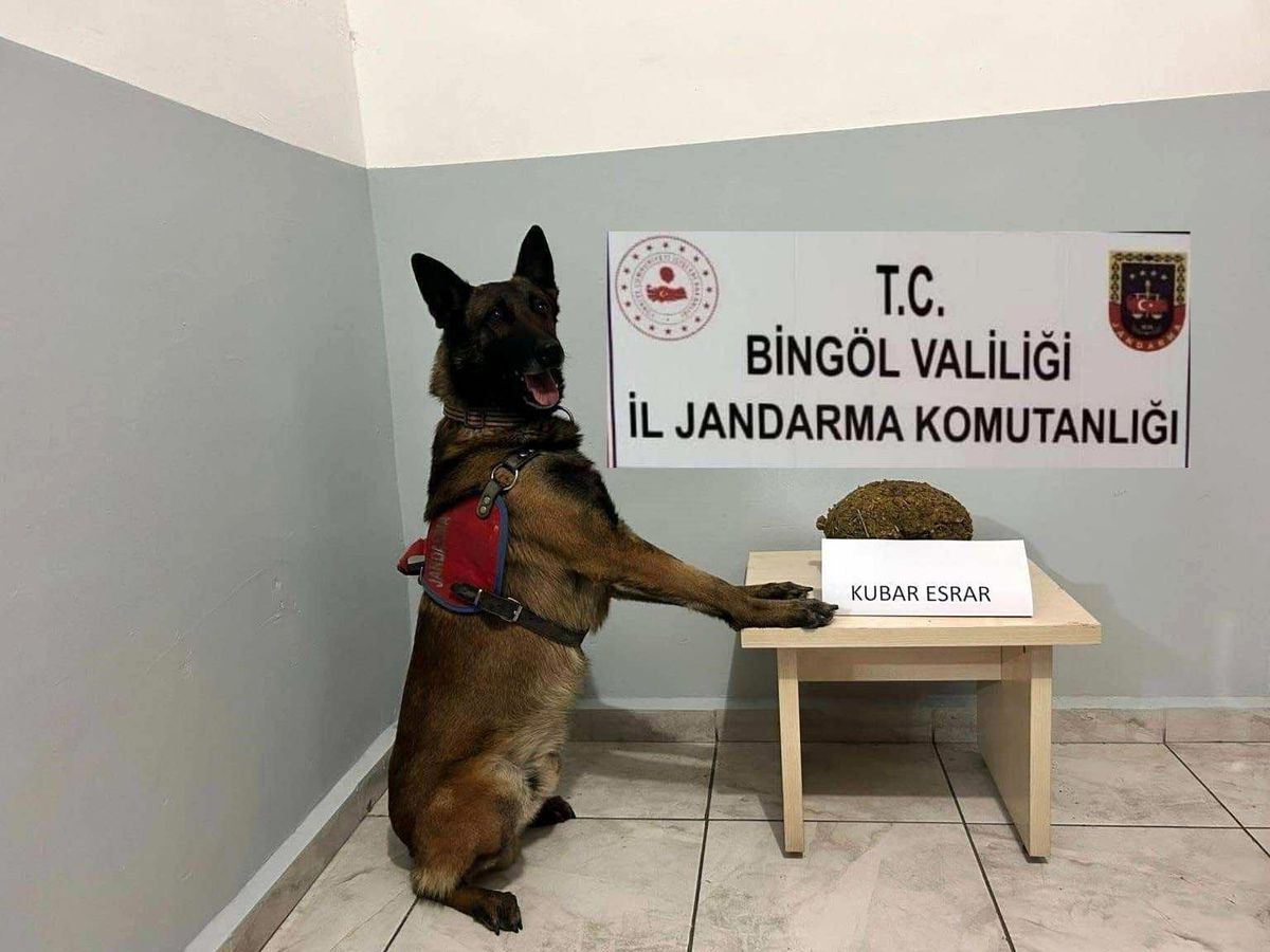 Bingöl\'de Uyuşturucu Operasyonu: 3 Şüpheli Yakalandı