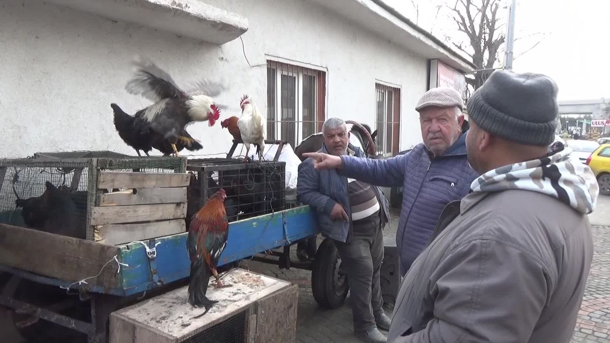 Edirne\'de Hindi Fiyatları Artıyor