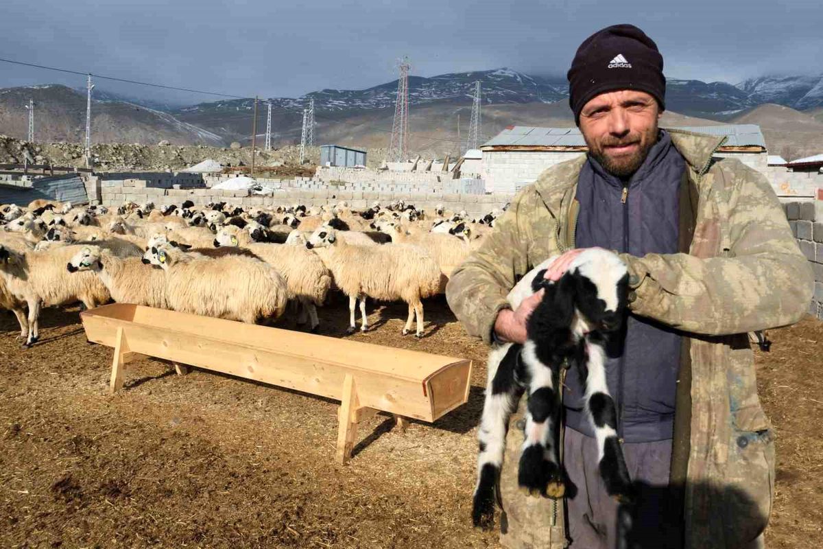 Erzincan\'da Tulum Peyniri Fiyat Farkı Sorunu