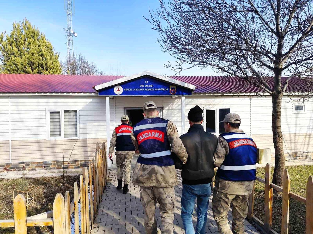 Yorgun Mermi Kurbanı: 7 Yaşındaki Kız Çocuğu Hayatını Kaybetti