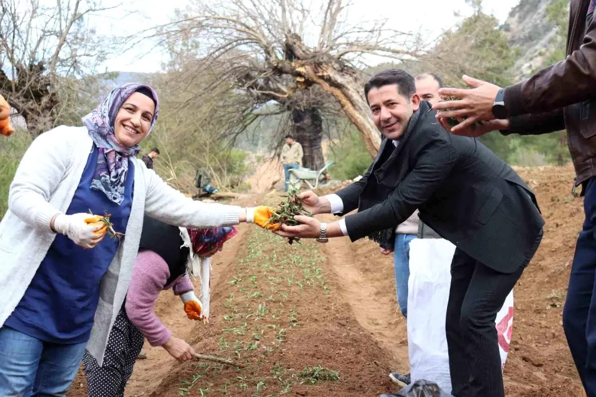 Feke\'de Salep Üretim Merkezi Projesi Hayata Geçti