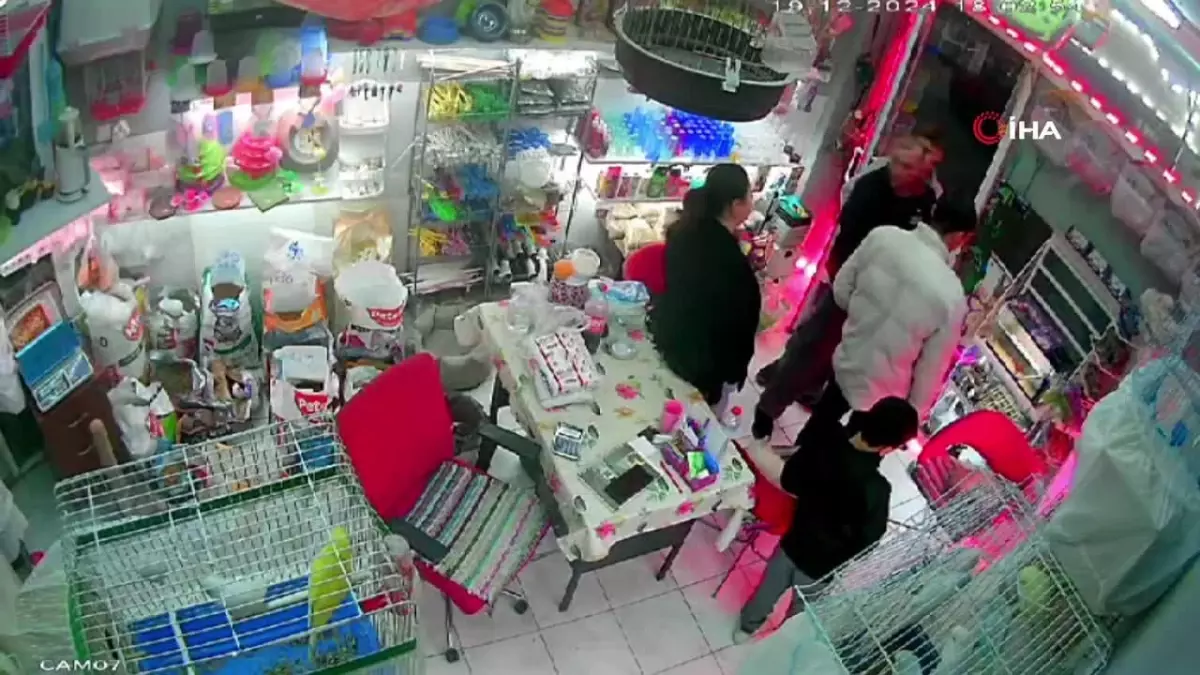 İzmir\'de Cins Kedi Hırsızlığı