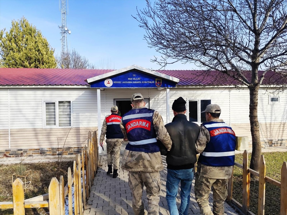 Muş\'ta Yorgun Mermi İle Ölüm: Zanlı Tutuklandı