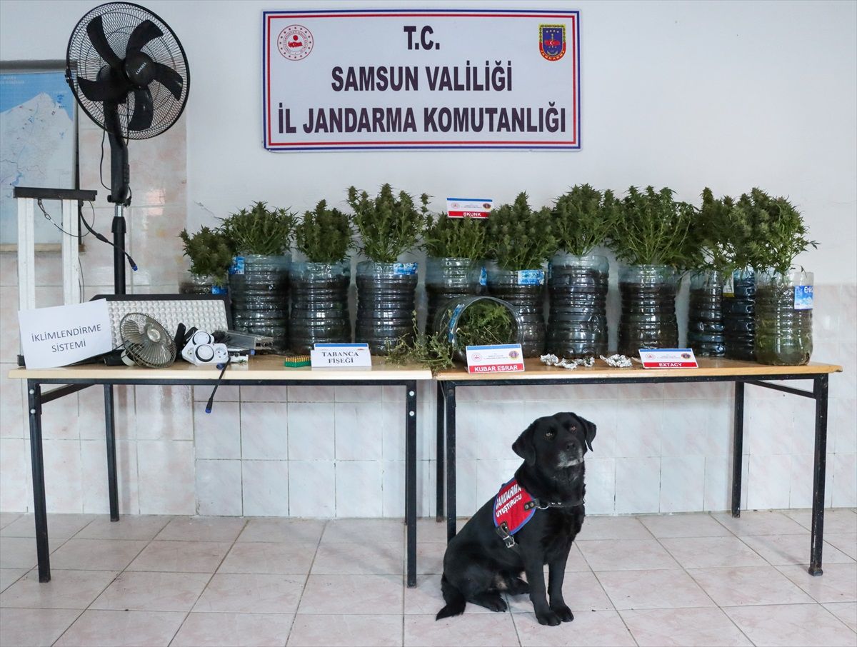 Bafra\'da Uyuşturucu Üretimi Operasyonu