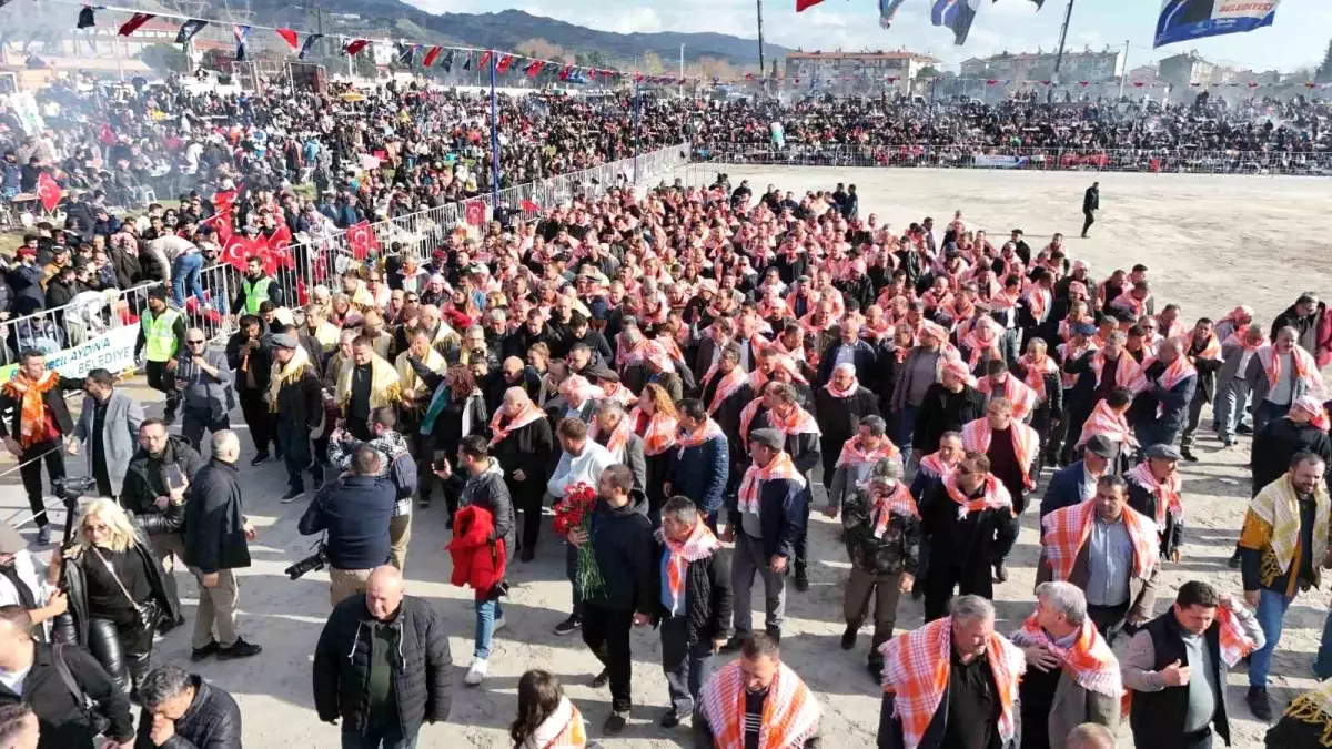 Geleneksel Deve Güreşi Dünya Kupası Festivali Aydın\'da Başladı