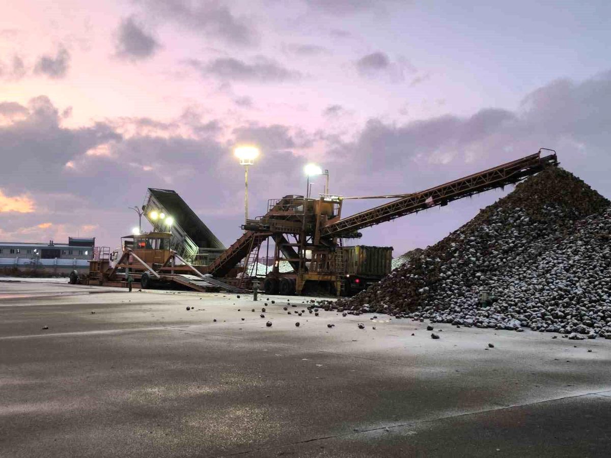 Kars Şeker Fabrikası Rekor Pancara Ulaştı