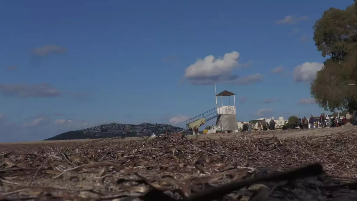 Bodrum Belediye Başkanı Aras\'tan, Turgutreis\'te Sahil Güvenlik Limanı Yapılmasına Tepki: İşi Durdurun, Gidin Marinayı Kamulaştırın