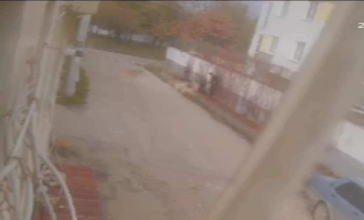 Eskişehir\'de Çocuk Başıboş Köpeklerden Kurtuldu
