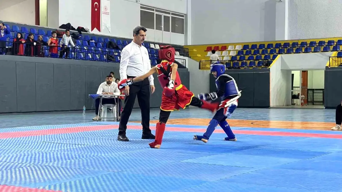 İskenderun\'da \'Sarıkamış Şehitlerini Anma Wushu Turnuvası\' düzenlendi